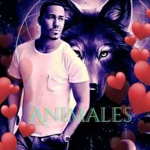 Meet your Posher, Rosario